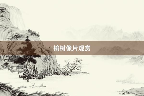 榆树像片观赏